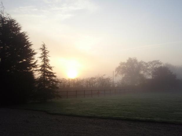Dawn