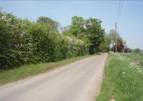Peaceful Countryside