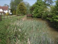 Medieval Moat