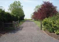 The driveway