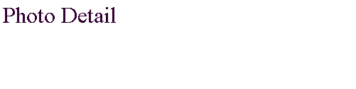 Text Box: Photo Detail